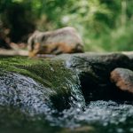 Les Milles Sources | La Maison de l'Arbre et de la Nature