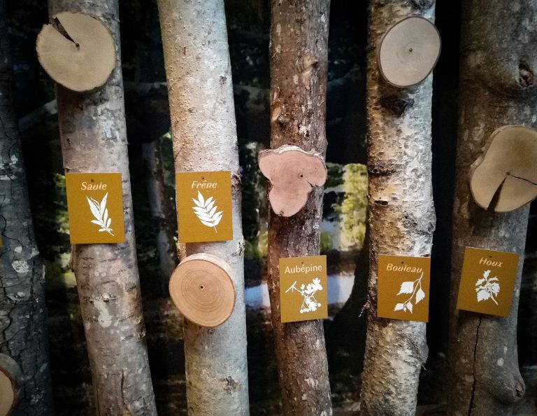 Maison de l'Arbre et de la Nature Chamberet